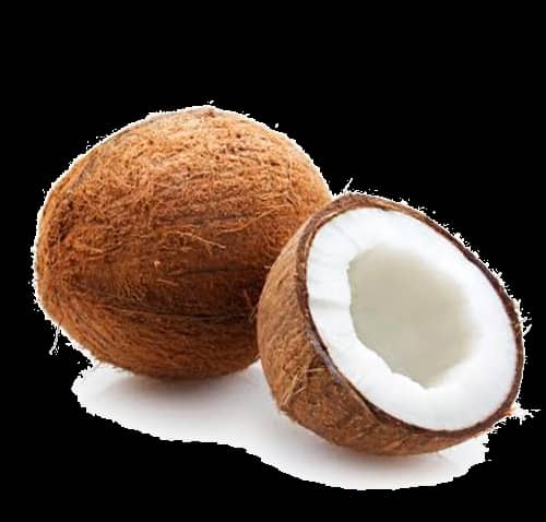 Fresh coconut for sorbet